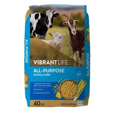 40 Pound Bag of All Purpose Whole Corn for Animal Feed and Cooking