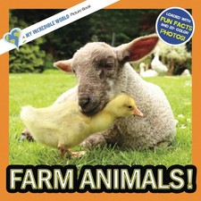 Farm Animals : A My Incredible World Picture Book for Children My Incredible Wo