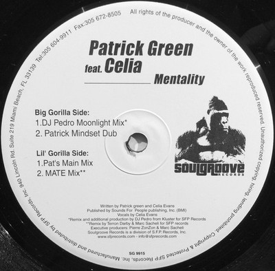 Patrick Green Ft Celia - Mentality - USA 12'' Vinyl - 2002 - Soulgroove