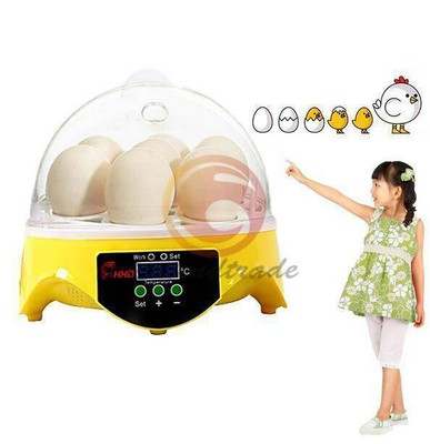 7 Eggs Brooder Incubator Chicken   Hatcher Temperature Contr Househould #E10