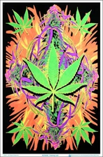 Flaming Leaf Blacklight Poster - Flocked - 23" x 35"