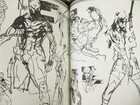 Foto 15 di 16