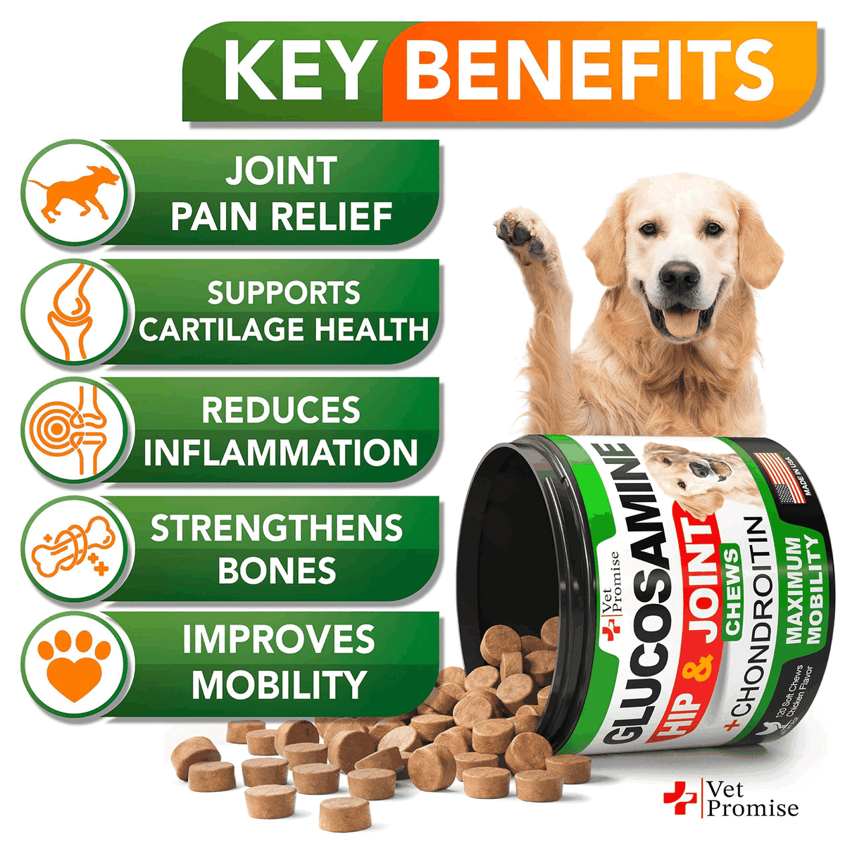Best Joint Supplements For Dogs | Vet-Recommended Relief