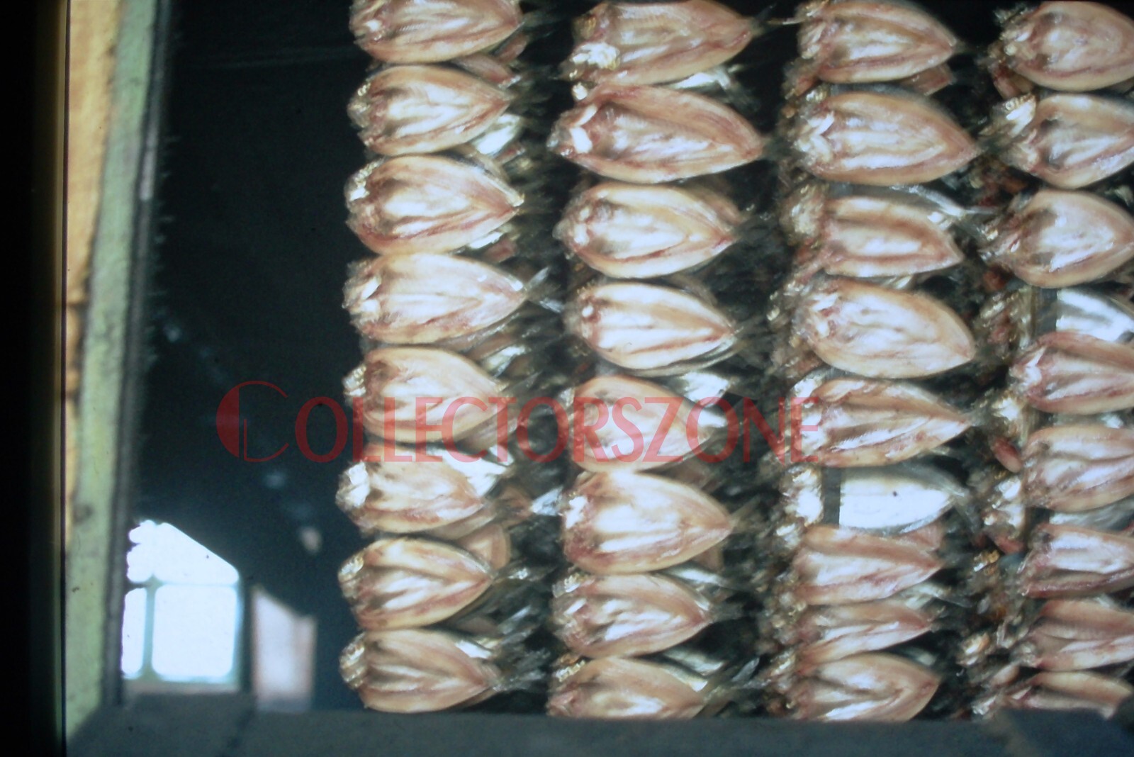 35mm Slide 1981 Isle Of Man Kipper factory Hanging Racks | eBay