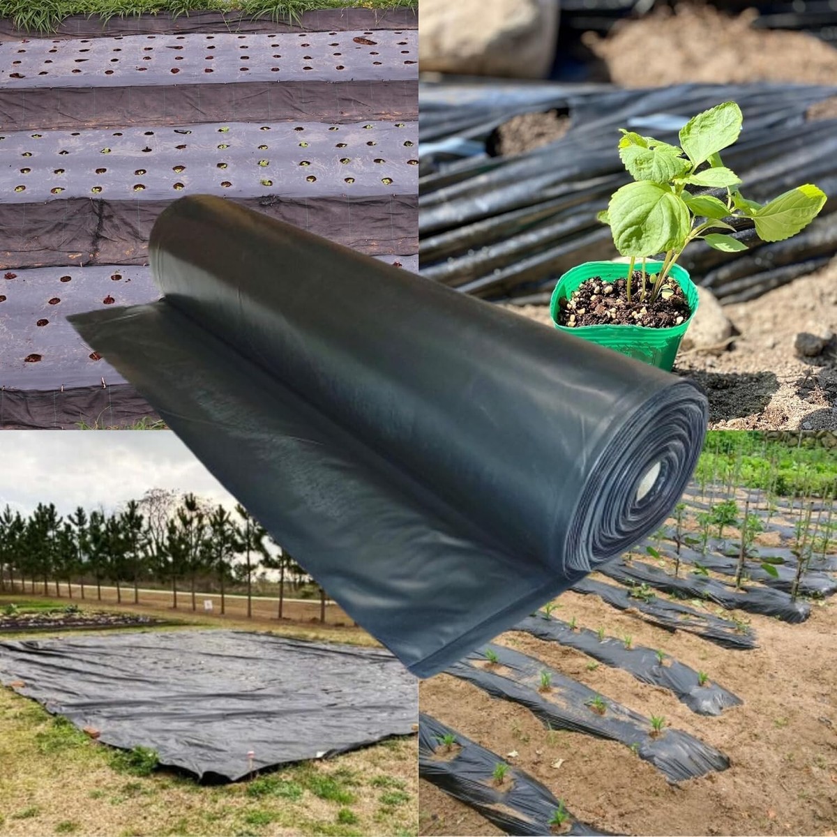 vermiculite potting mix Vermiculite