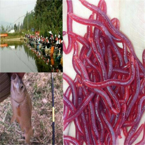 25-Pack 6" Finesse Worms - JUNEBUG Color, Salt & Scent, Bulk Bass Fishing Lures