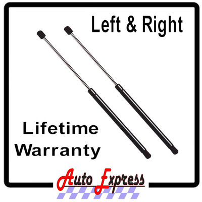 2 New Rear Window Lift Supports Strut Prop Rod Shocks - Ford Escape ...