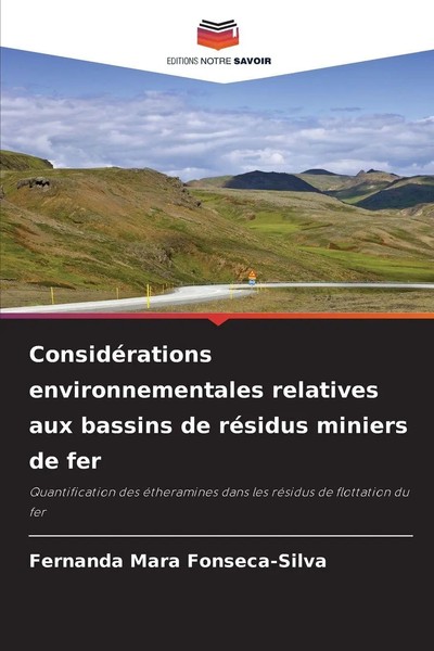 ConsidéRations Environnementales Relatives Aux Bassins De RéSidus Miniers De Fer-image
