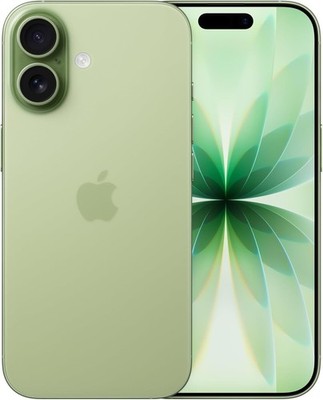 Apple iPhone 17 256GB Salbei inkl. Silikon Case & Schutzglas