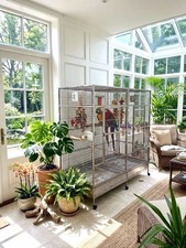 XL HUGE  304 Stainless Steel Double Macaw Parrot Cockatoo Bird Breeder Pet Cage
