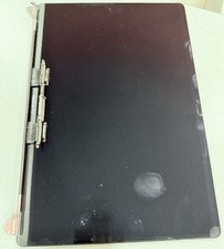 GENUINE MACBOOK PRO 16 A2141 2019 COMPLETE DISPLAY LCD SCREEN GRAY AS IS BROKEN