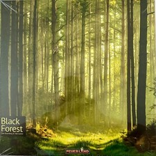 Black Forest Deutsch Feuerland Family Strategic Board Game