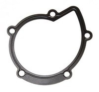 Elring 394.280 Dichtung, Wasserpumpe FüR CitroËN DS Passend FüR Fiat Ford