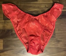 Vintage Poly Satin Flutter Bikini Panties Sz 5 Red Sheer Floral Second Skin