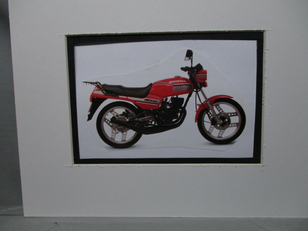 Honda mbx50 1984 Motorcycle Archives Artist illustrated Color