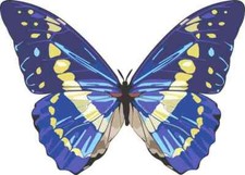 5in x 4in Blue Butterfly Bumper Sticker Vinyl Truck Window Decal Sign Stickers