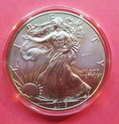 2015 AMERICAN SILVER EAGLE. UNCIRCULATED, BU. IN CAPSULE. NO BOX OR COA.