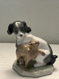 Nao Dog | eBay