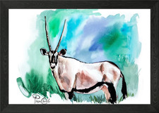 Arabian Oryx Framed Wall Art Poster Canvas Print Picture