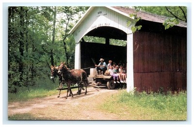 Postcard Mule Pulled Excursion Ride Parke County Indiana Leatherwood Bridge UNP