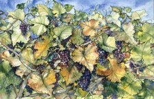 Ceramic Backsplash Tile Mural Fruit Vegetable Kitchen/Bathroom - Autumn Grapes
