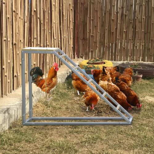 High-Quality Chicken Roosting Perch with Multi-Level Design for Poultry Play - Picture 7 of 9