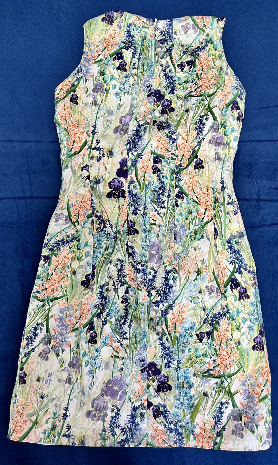 coast dresses size 6