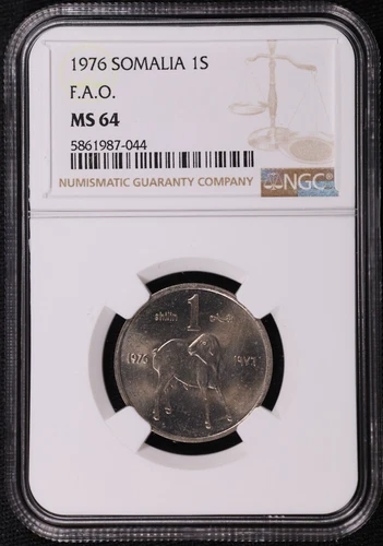 1976 Somalia 1 Shilling FAO CuNi Copper-Nickel Coin NGC MS 64