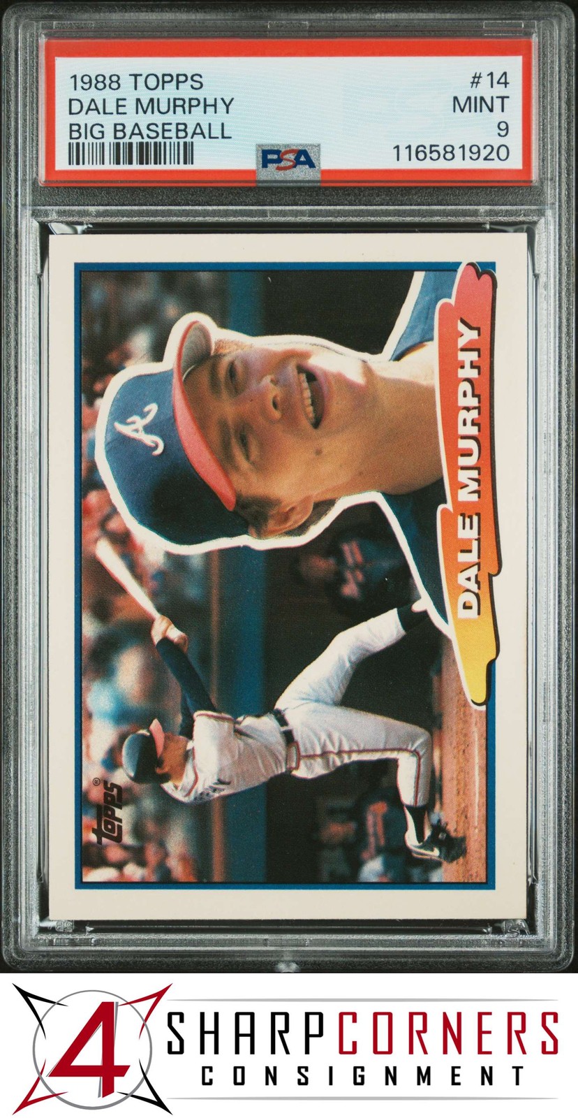 Ebay Item For Sale