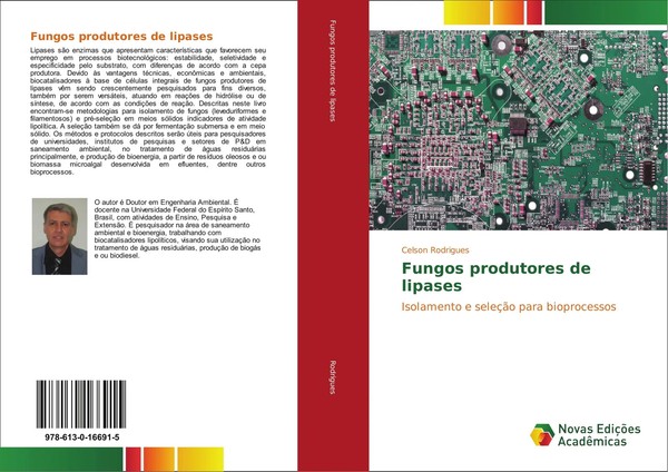Fungos Produtores De Lipases Isolamento E SeleçãO Para Bioprocessos Rodrigues-image