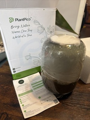 Pico Planter Water falling - Modern Terrarium - New w/ Open Box Missing Lamp