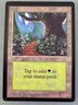 Forest 301 (A) MTG Beta Limited Edition—Lightly Played Excellent—Vintage Magic