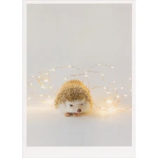 Hedgehog and Winding Gold String of White Lights Box of 10 Christmas Cards