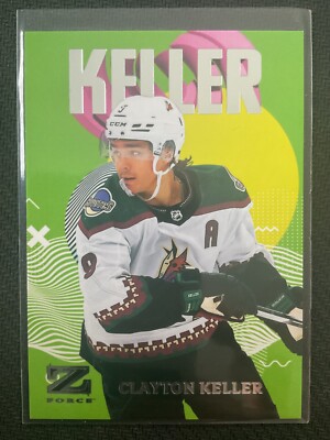 Lot de 8 cartes postales | instituthodler