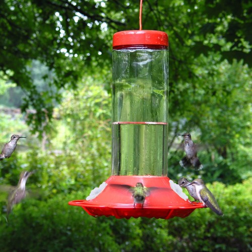 15 Pcs Bird Feeding Ports Replacement Hummingbird Flowers Plastic Feeder Shape - Picture 11 of 12