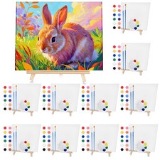 10 Set Acrylic Paint Canvas Set   8x10 Inch Mini Canvas Painting Kit with 10 ...