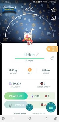  Shiny Litten (Schillernd Flamiau) Background 2024 Pokemon GO  Registered Only