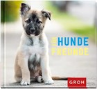 Für Hundefreunde