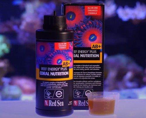 Red Sea Reef Energy Plus 1000 ml Ab All in One Korallenfutter für Salzwasseraquarium - Bild 7 von 8