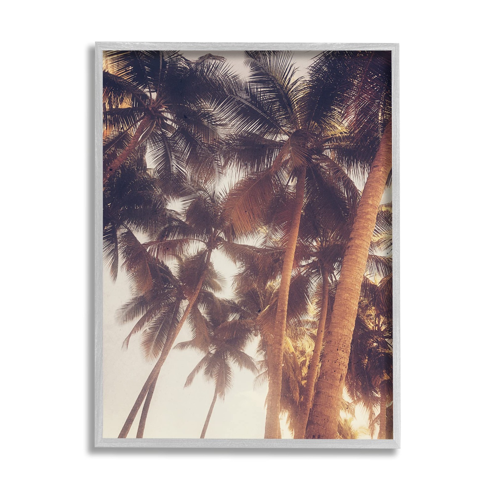 Sun Bleached Vintage Palm Tree Tops Summer Sky Art by Acosta Gray Frame