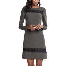 NWT Ann Taylor Charcoal Gray Long Sleeve Shift Dress with Black Lace Detail Sz 4