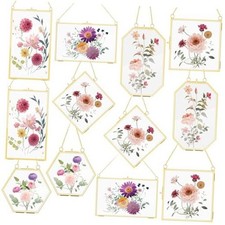 12 Pcs Brass Glass Frame for Pressed Flowers with Chain Clear Double Glass
