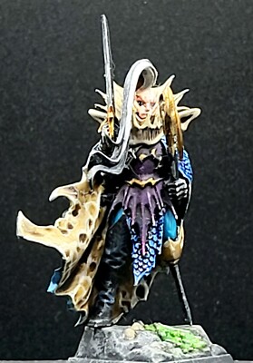 Painted Black Ark Fleetmaster Dark Elves WFB AOS Mordheim Idoneth