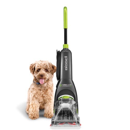 turbo clean powerbrush pet reviews