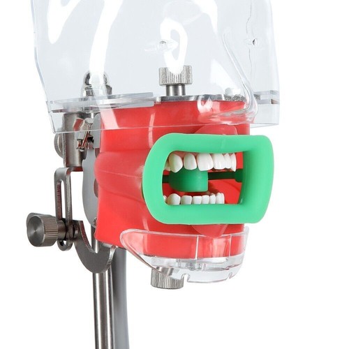 Dental Ortho Cheek Lip Retractor Mouth Opener Double-Head O/C/W/T 3D Photography - Picture 70 of 197