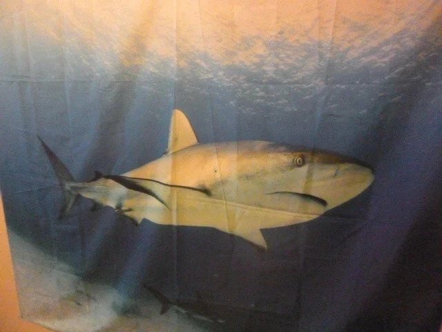 3 FABRIC POSTERS ~ 1 SHARK & 2 TURTLES!!!