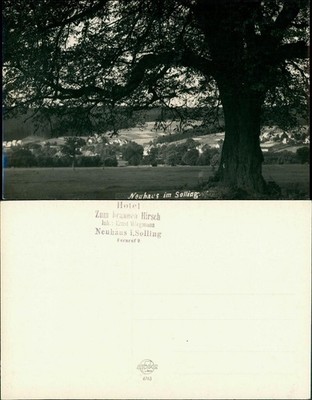 Photo Neuhaus in Solling-Holzminden Old Tree 1930 Private Photo