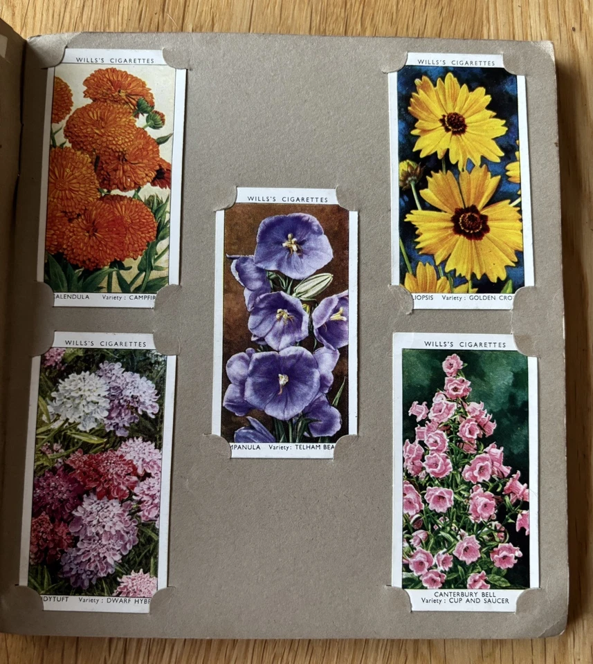 Will’s Cigarette Picture-Card Album - Full Set Of Garden Flowers - 1939 - Image 3 of 4
