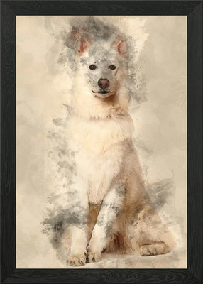 Schweizer Schäferhund 3 Jahre Gerahmtes Wandbild Poster Leinwandbild Bild