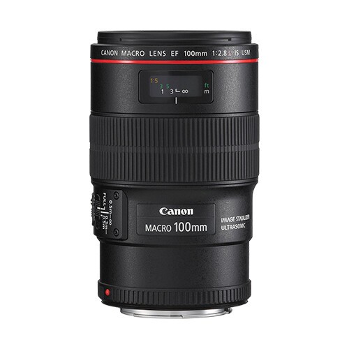 Canon EF 100 mm f/2.8L obiettivo macro è USM - Foto 2 di 6